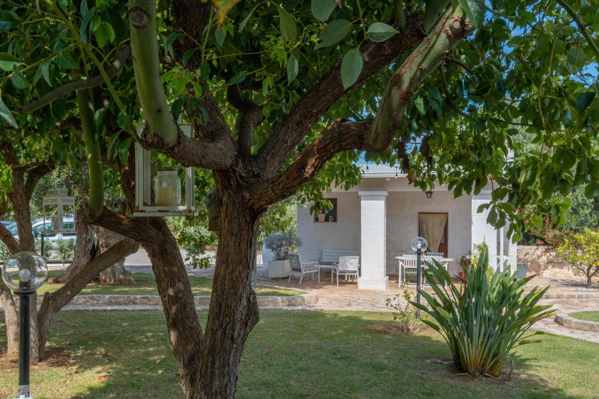 Dimora Tauro B&B Fasano Exterior foto